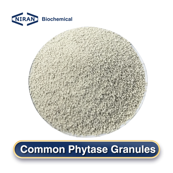 Common Phytase Granules